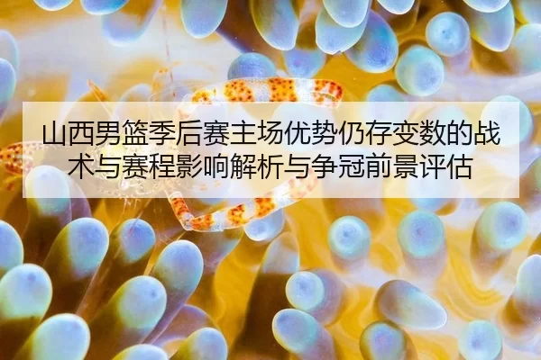 shan-xi-nan-lan-ji-hou-sai-zhu-chang-you-shi-reng-cun-bian-shu-de-zhan-shu-yu-sai-cheng-ying-xiang-jie-xi-yu-zheng-guan-2-484.jpg