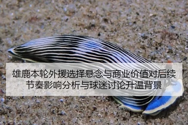 雄鹿本轮外援选择悬念与商业价值对后续节奏影响分析与球迷讨论升温背景